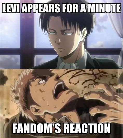 levi ackerman memes